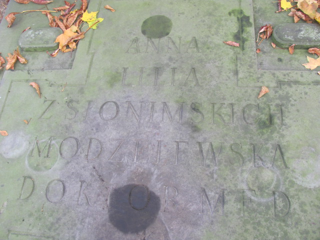 Anna Lilia Modzelewska 1909 Warszawa Ewangelicko - Augsburski św. Trójcy - Grobonet - Wyszukiwarka osób pochowanych