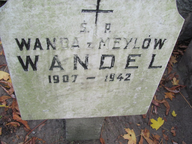 Wanda Wandel 1907 Warszawa Ewangelicko - Augsburski św. Trójcy - Grobonet - Wyszukiwarka osób pochowanych