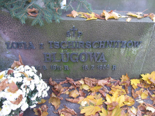 Zofia Bluge 1911 Warszawa Ewangelicko - Augsburski św. Trójcy - Grobonet - Wyszukiwarka osób pochowanych