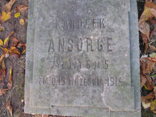 Henryk Julian Guthner 1891 Warszawa Ewangelicko - Augsburski św. Trójcy - Grobonet - Wyszukiwarka osób pochowanych