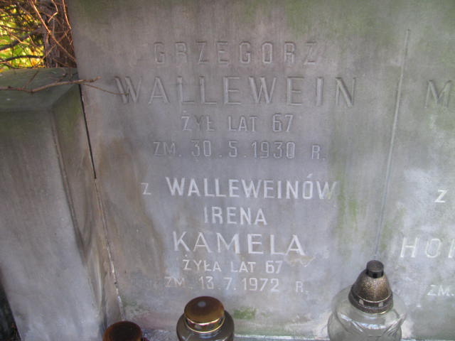Grzegorz Wallewein Warszawa Ewangelicko - Augsburski św. Trójcy - Grobonet - Wyszukiwarka osób pochowanych