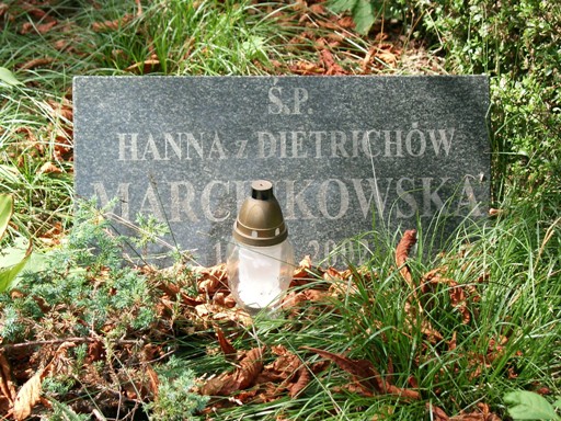 Emilia Dietrich 1891 Warszawa Ewangelicko - Augsburski św. Trójcy - Grobonet - Wyszukiwarka osób pochowanych