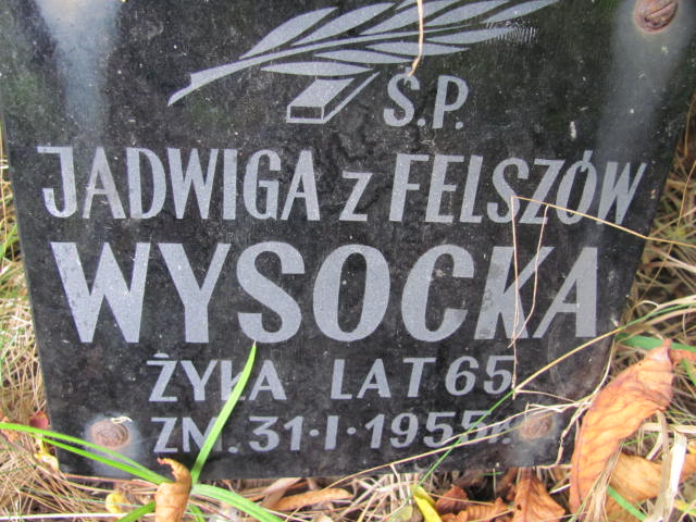 Julia Ostrowska 1829 Warszawa Ewangelicko - Augsburski św. Trójcy - Grobonet - Wyszukiwarka osób pochowanych