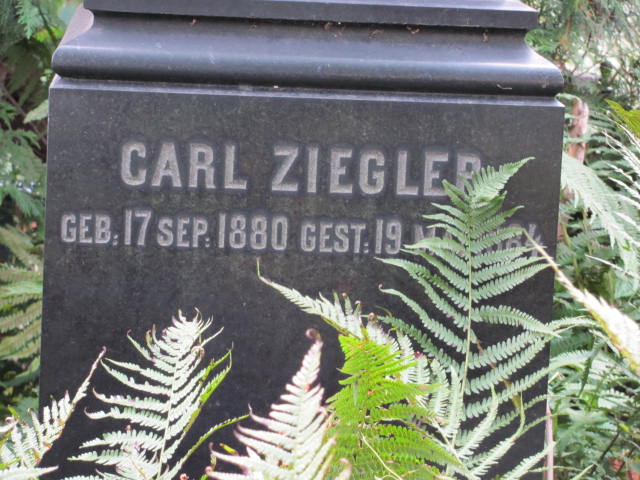 Ida Ziegler 1858 Warszawa Ewangelicko - Augsburski św. Trójcy - Grobonet - Wyszukiwarka osób pochowanych