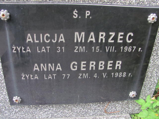 Luiza Dworzak 1882 Warszawa Ewangelicko - Augsburski św. Trójcy - Grobonet - Wyszukiwarka osób pochowanych