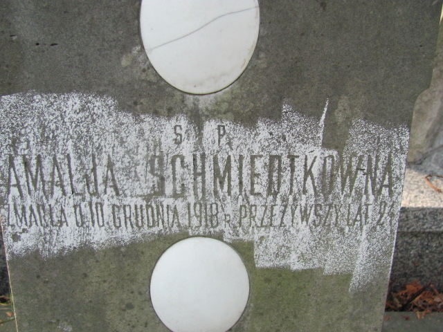 Tadeusz Teodor Schmidtke 1891 Warszawa Ewangelicko - Augsburski św. Trójcy - Grobonet - Wyszukiwarka osób pochowanych