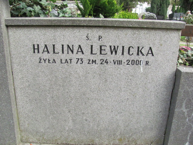 Irena Jung 1900 Warszawa Ewangelicko - Augsburski św. Trójcy - Grobonet - Wyszukiwarka osób pochowanych