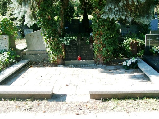 Zdjęcie grobu Adolf Erdman Rosiński