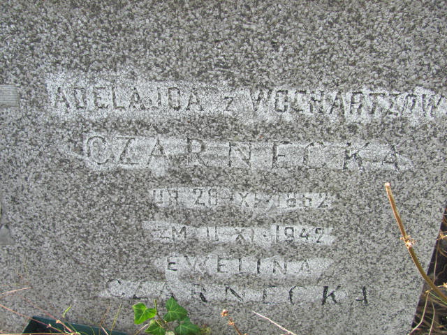 Ludwik Czarnecki 1893 Warszawa Ewangelicko - Augsburski św. Trójcy - Grobonet - Wyszukiwarka osób pochowanych