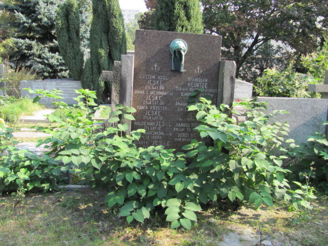 Grób Janusz Stanisław Heintze