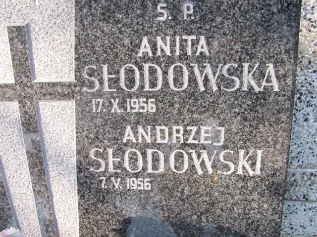 Anita Aleksandra Słodowska 1956 Warszawa Ewangelicko - Augsburski św. Trójcy - Grobonet - Wyszukiwarka osób pochowanych