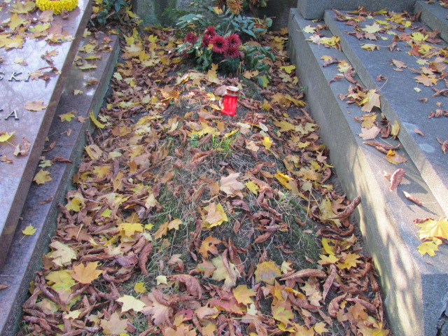 Roman Szendel 1904 Warszawa Ewangelicko - Augsburski św. Trójcy - Grobonet - Wyszukiwarka osób pochowanych