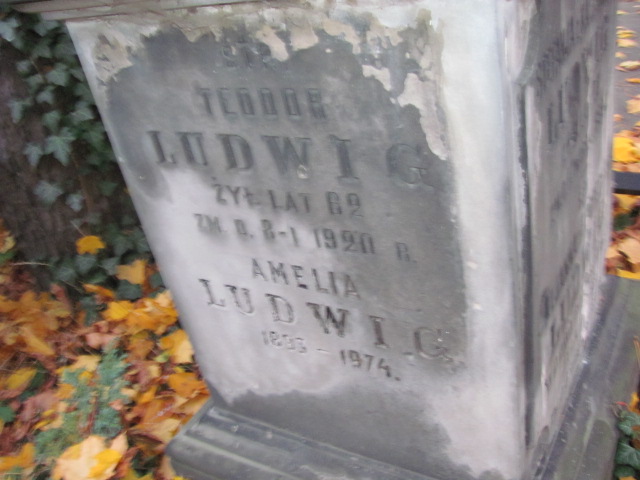 Stefanja Ludwig 1861 Warszawa Ewangelicko - Augsburski św. Trójcy - Grobonet - Wyszukiwarka osób pochowanych