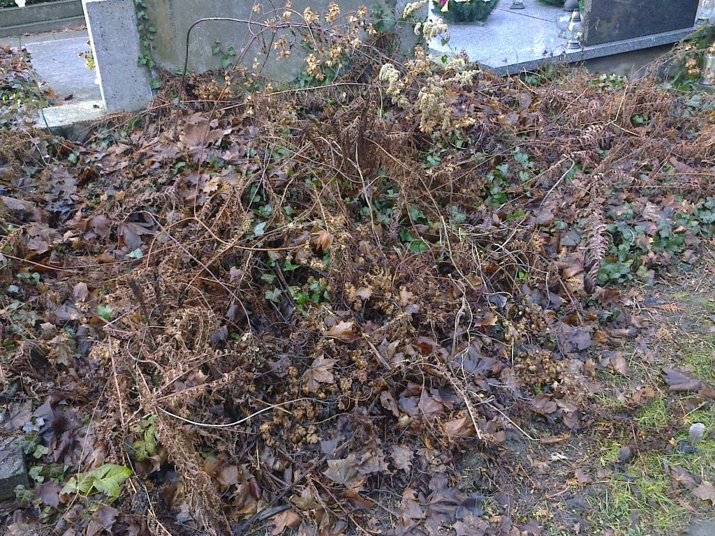 Wacława Kauf 1892 Warszawa Ewangelicko - Augsburski św. Trójcy - Grobonet - Wyszukiwarka osób pochowanych