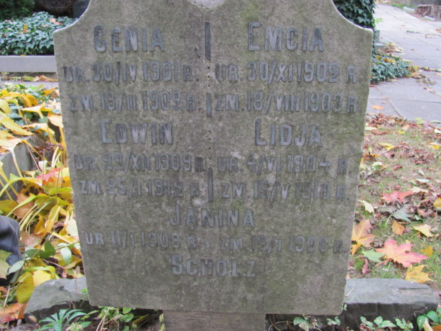 Lidja Scholz 1904 Warszawa Ewangelicko - Augsburski św. Trójcy - Grobonet - Wyszukiwarka osób pochowanych