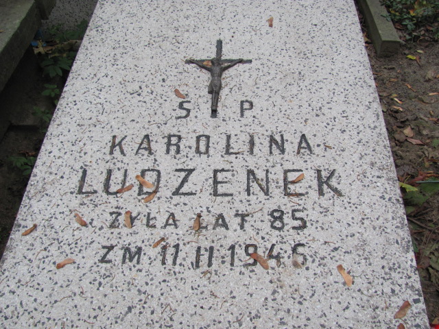 Karolina Ludzenek 1860 Warszawa Ewangelicko - Augsburski św. Trójcy - Grobonet - Wyszukiwarka osób pochowanych