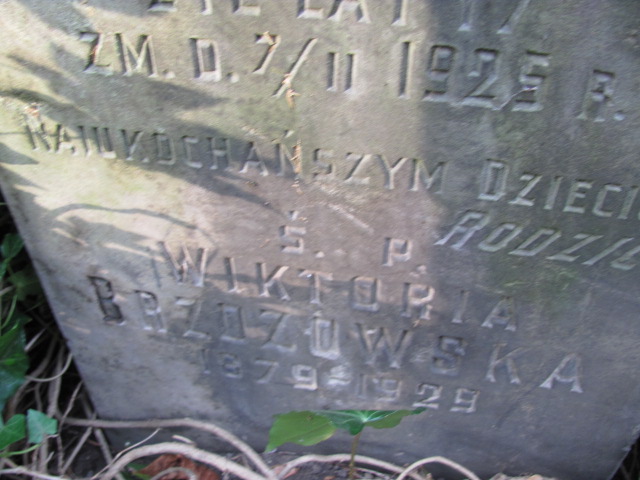 Jadwiga Brzozowska 1905 Warszawa Ewangelicko - Augsburski św. Trójcy - Grobonet - Wyszukiwarka osób pochowanych