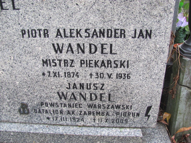 Apolonia Julia Wandel 1880 Warszawa Ewangelicko - Augsburski św. Trójcy - Grobonet - Wyszukiwarka osób pochowanych