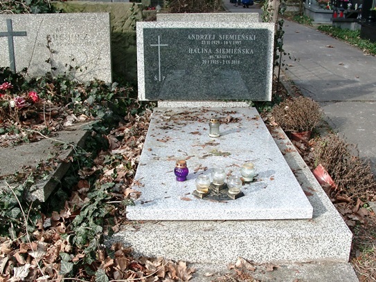 Grób Andrzej Ignacy Siemieński