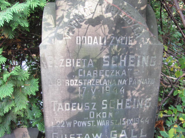 Elżbieta Scheing Warszawa Ewangelicko - Augsburski św. Trójcy - Grobonet - Wyszukiwarka osób pochowanych