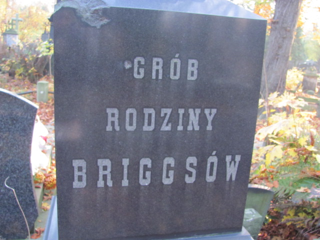 Alfred Briggs 1856 Warszawa Ewangelicko - Augsburski św. Trójcy - Grobonet - Wyszukiwarka osób pochowanych