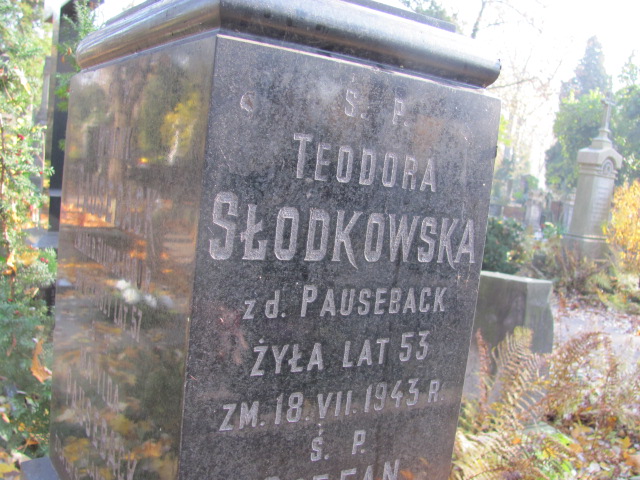 Jan Horodyski 1927 Warszawa Ewangelicko - Augsburski św. Trójcy - Grobonet - Wyszukiwarka osób pochowanych