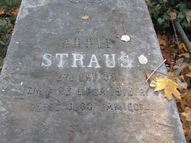 Irena Straus 1888 Warszawa Ewangelicko - Augsburski św. Trójcy - Grobonet - Wyszukiwarka osób pochowanych