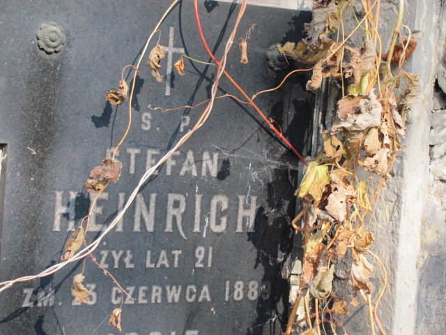 Józef Heinrich Warszawa Ewangelicko - Augsburski św. Trójcy - Grobonet - Wyszukiwarka osób pochowanych