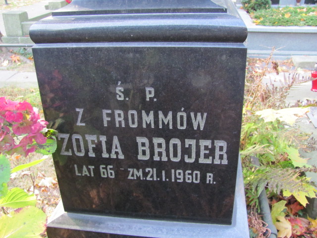 Helena Fromm 1893 Warszawa Ewangelicko - Augsburski św. Trójcy - Grobonet - Wyszukiwarka osób pochowanych