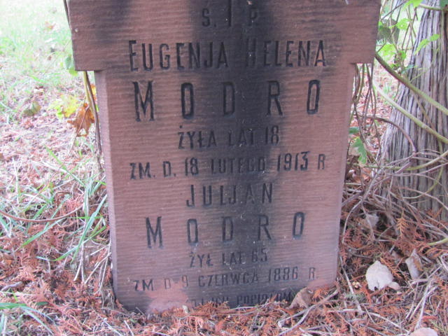 Julian Modro Warszawa Ewangelicko - Augsburski św. Trójcy - Grobonet - Wyszukiwarka osób pochowanych