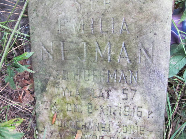 Emilia Nejman Warszawa Ewangelicko - Augsburski św. Trójcy - Grobonet - Wyszukiwarka osób pochowanych